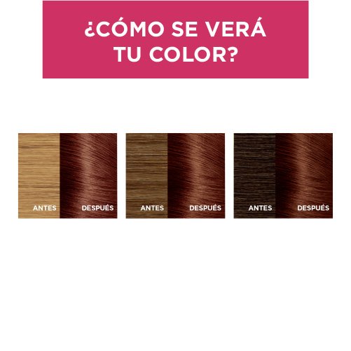 EXCELLENCE TINTE CASTANO 445 RESULTADOS